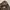Columbia Realtree Puffer Mountain Hooded Adventure  photo 3