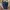 Celana Jeans Levis Indigo Blue Original photo 1