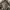 Unbrand Camo Millitary M65 Style photo 3
