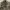 Unbrand Camo Millitary M65 Style photo 2