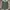 Celana Pendek Utility Uniqlo Olive Green photo 1