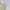 Vintage Y2K Crop top Wanita cream photo 6