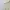 Vintage Y2K Crop top Wanita cream photo 5