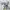 Crewneck vintage tahun 1991 – The Nebraska Story edisi spesi photo 1