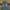 Ripp Belt Wide Leg Blue Jeans🥷🏻 photo 5