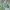 Luxury Casual T-shirt Wanita green photo 3