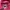 Gorpcore Windbreaker Wanita pink photo 6