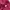 Gorpcore Windbreaker Wanita pink photo 5