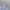 The North Face Casual Track jacket Wanita white photo 5