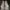 Salomon xt6 goretex white photo 3