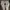 Salomon Xt6 Goretex White
