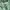 Casual Track jacket Pria green photo 5