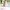 8seconds Lolita Minimalist Shirt Dress Wanita Pink