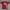 Space opera red t shirt  photo 1