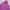 Uniqlo Casual Track jacket Wanita pink photo 2