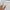 Dior Luxury Mini skirt Wanita cream photo 5