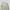 Dior Luxury Mini skirt Wanita cream photo 4