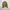 Luxury Avant Garde Trench coat Wanita yellow photo 6
