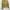 Luxury Avant Garde Trench coat Wanita yellow photo 7