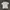Uniqlo Casual Casual shirt Pria white photo 5