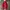 Wilson Streetwear Y2K Sweatpants & Joggers Pria Red