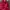 Wilson Streetwear Y2K Sweatpants & Joggers Pria red photo 2