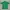 Kaos Polo Shirt FGS 