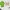 Nike Sportswear Jersey Pria green photo 2