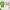 Nike Sportswear Jersey Pria Green