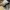 ALEXANDER MCQUEEN 3D PRINT OVERSIZE SNEAKER HYPEBEAST photo 8