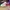 ALEXANDER MCQUEEN 3D PRINT OVERSIZE SNEAKER HYPEBEAST photo 1