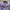 Paul Smith London Lilac Poloshirt photo 2