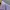 Paul Smith London Lilac Poloshirt photo 3