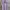 Paul Smith London Lilac Poloshirt photo 1