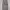Dickies Celpo 85283SV Long Pants  photo 3