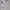 Polo Ralph Lauren Luxury Minimalist Polo Shirt Pria Cream