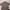 Minimalist Casual Suit Pria brown photo 1