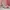 Casual Wedge Wanita pink photo 3