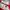 Tracktop Adidas treefoil Canada photo 2