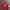 JERSEY AC MILAN photo 1