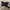 Fendi Black Zucchino Canvas Chef Baguette photo 1