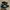Adidas superstar size 42 photo 1