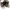 Roger Vivier Flats All Black photo 4