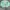 green y2k harrington jacket photo 3