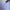 Stray Rats Rodencitide Pixel photo 6