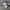 Semantic Design Button Up photo 5