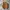 Vans Era Comfycush Terry Green Milieu True White photo 5