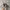 Vans Era Comfycush Terry Green Milieu True White photo 4