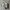 Nike Air Jordan 1 Low Wolf Grey  photo 2