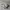 Nike Air Jordan 1 Low Wolf Grey  photo 1